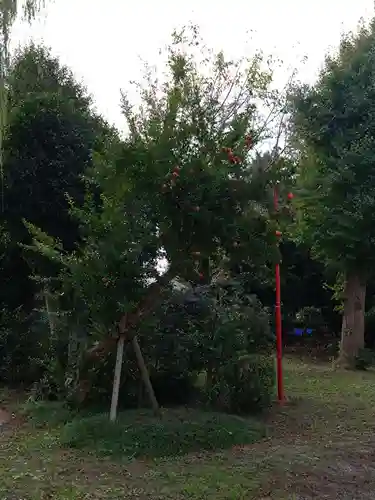 香取神社（旭町香取神社・大鳥神社）(千葉県)