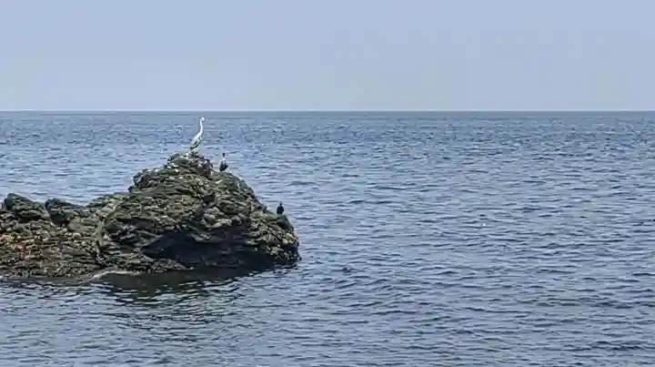 二見興玉神社の自然
