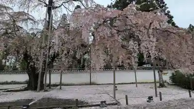 醍醐寺(京都府)