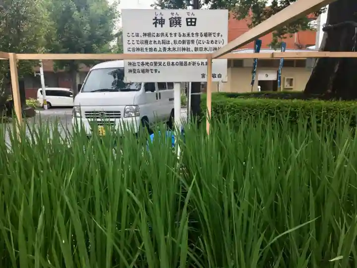 鎮守氷川神社のお祭り