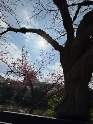 西新井大師総持寺の{uncategorized: "未分類", other: "その他", undefined: "問題あり", building: "その他建物", grave: "お墓", sacred_gate: "鳥居", guardian: "狛犬", statue: "像", buddha: "仏像", history: "歴史", nature: "自然", garden: "庭園", animal: "動物", pagoda: "塔", temizu: "手水舎", mountain_gate: "山門・神門", sanctuary: "本殿・本堂", subordinate: "末社・摂社", art: "芸術", scenery: "景色", jizo: "地蔵", ema: "絵馬", goshuin: "御朱印", omikuji: "おみくじ", items: "授与品その他", amulet: "お守り", goshuincho: "御朱印帳", eats: "食事", festival: "お祭り", votive_dance: "神楽", shichigosan: "七五三参", wedding: "結婚式", experience: "体験その他", initially: "初詣", around: "周辺", anti_infection: "感染症対策"}