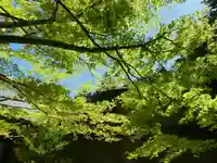 滑川神社 - 仕事と子どもの守り神(福島県)