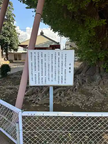 千葉寺(千葉県)