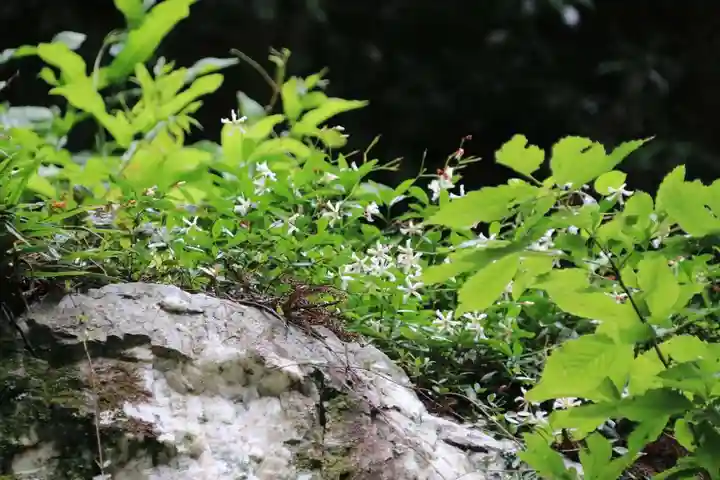 鹿島大神宮の自然