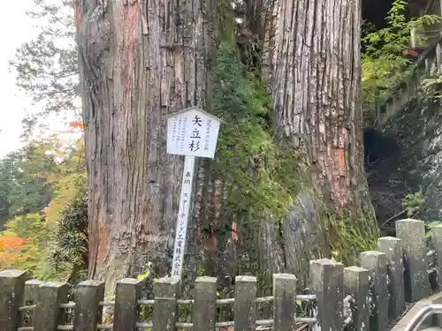 榛名神社の自然