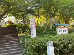 上野大佛(東京都)