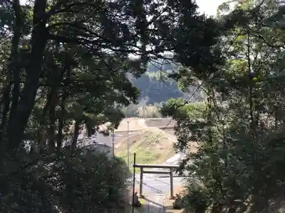 市野郷神社の鳥居