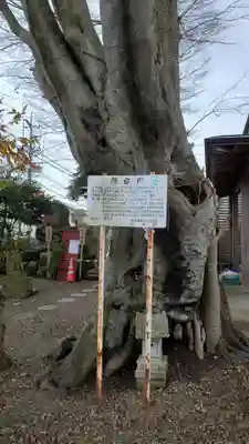 横手神明社(秋田県)