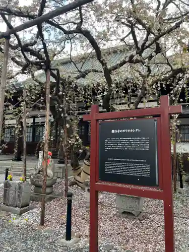 竜谷寺の建物その他