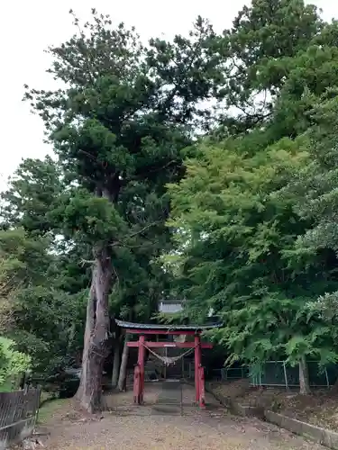 白山神社の鳥居