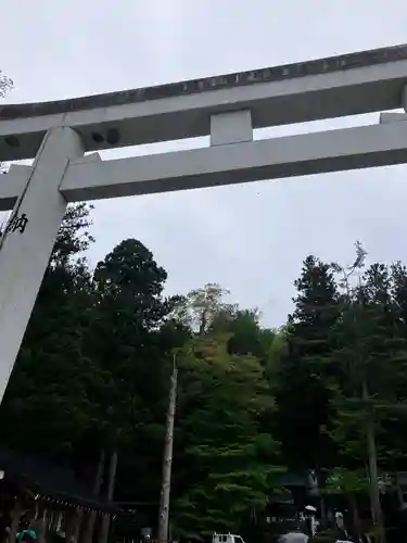 諏訪大社の鳥居