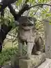 安井金比羅宮の狛犬