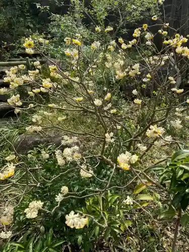 妙蓮寺(神奈川県)