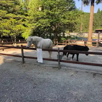 丹生川上神社（下社）(奈良県)