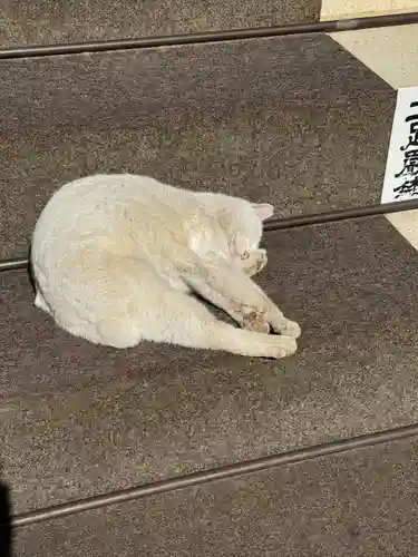 今戸神社(東京都)
