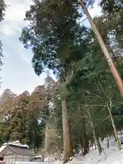 御形神社(兵庫県)