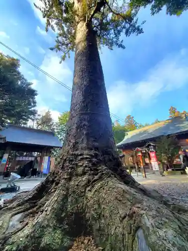 滑川神社 - 仕事と子どもの守り神(福島県)