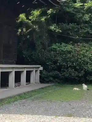 稱名寺(神奈川県)