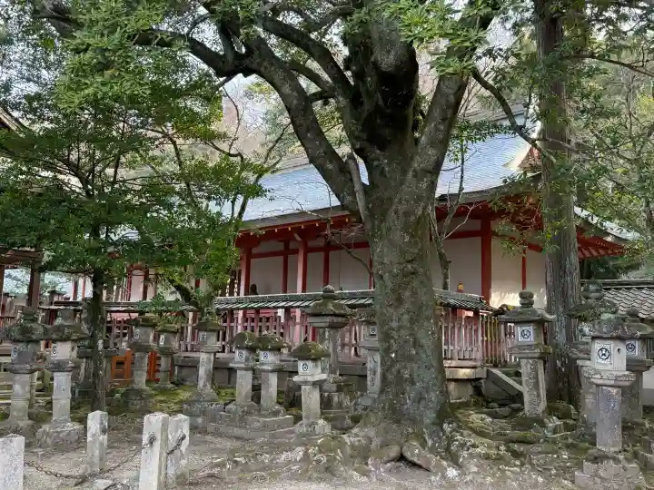 手向山八幡宮の{uncategorized: "未分類", other: "その他", undefined: "問題あり", building: "その他建物", grave: "お墓", sacred_gate: "鳥居", guardian: "狛犬", statue: "像", buddha: "仏像", history: "歴史", nature: "自然", garden: "庭園", animal: "動物", pagoda: "塔", temizu: "手水舎", mountain_gate: "山門・神門", sanctuary: "本殿・本堂", subordinate: "末社・摂社", art: "芸術", scenery: "景色", jizo: "地蔵", ema: "絵馬", goshuin: "御朱印", omikuji: "おみくじ", items: "授与品その他", amulet: "お守り", goshuincho: "御朱印帳", eats: "食事", festival: "お祭り", votive_dance: "神楽", shichigosan: "七五三参", wedding: "結婚式", experience: "体験その他", initially: "初詣", around: "周辺", anti_infection: "感染症対策"}