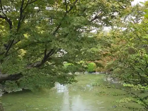 東寺（教王護国寺）(京都府)