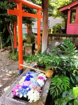 本郷氷川神社(東京都)