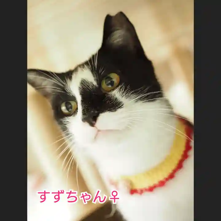 天王山 安楽寺(福井県)