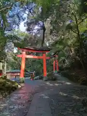 宇佐神宮(大分県)