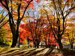 土津神社｜こどもと出世の神さまの自然