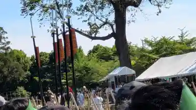 賀茂別雷神社(上賀茂神社)(京都府)
