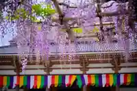 西新井大師総持寺(東京都)