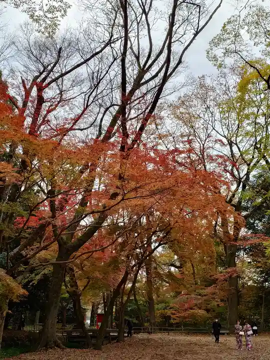 河合神社(鴨川合坐小社宅神社)(京都府)