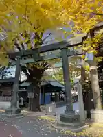 湯島天満宮の鳥居
