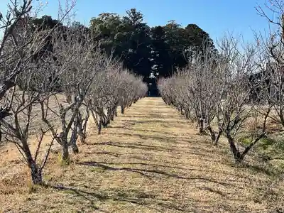 天満神社(滋賀県)