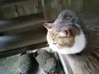 小松寺(千葉県)