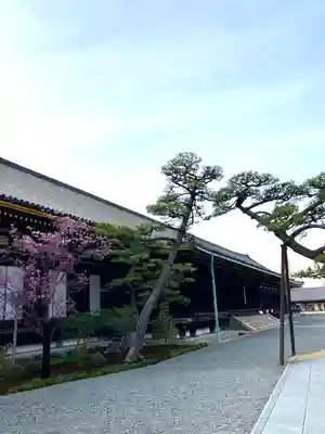 蓮華王院(三十三間堂)の本殿・本堂