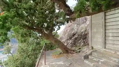 雲見浅間神社の自然