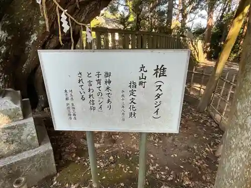 莫越山神社(千葉県)