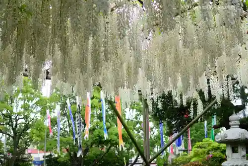 白旗神社の庭園