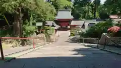 一之宮貫前神社の景色