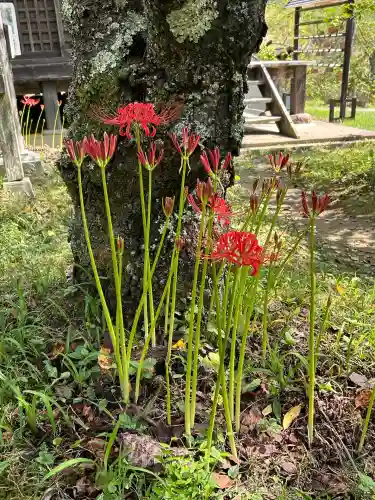 国宝 大法寺(長野県)