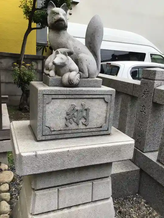 櫻株稲荷神社(水戸屋稲荷)の狛犬