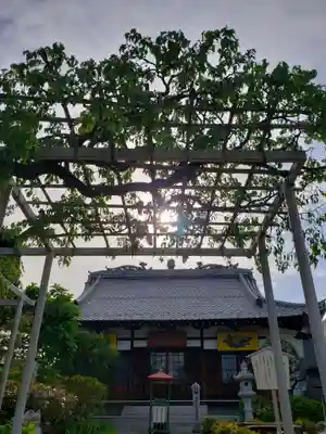 長善寺の本殿・本堂