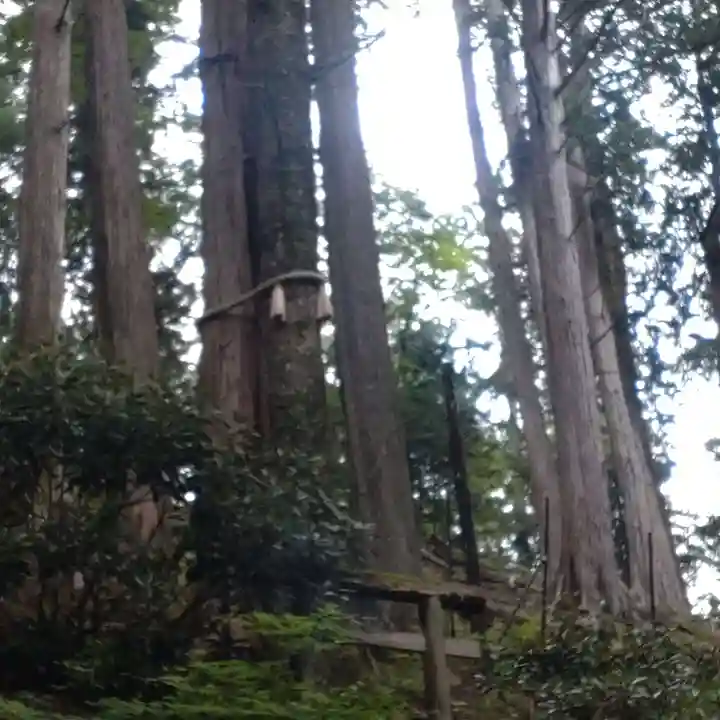 三峯神社(埼玉県)