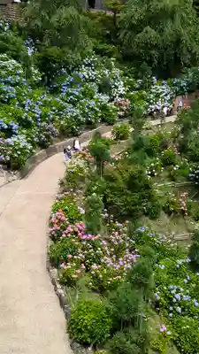 善峯寺(京都府)