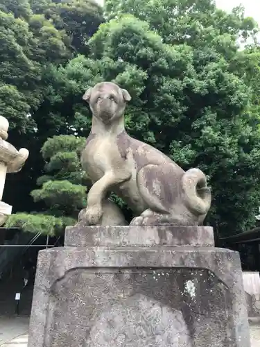 瀧泉寺（目黒不動尊）の狛犬