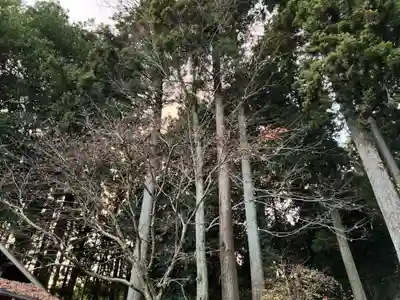 大宮温泉神社(栃木県)
