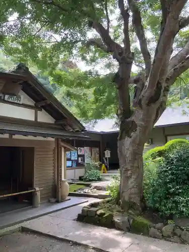 浄智寺(神奈川県)