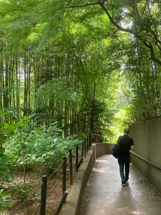 本土寺(千葉県)