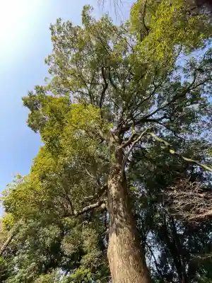 鞆江神社（明地）(愛知県)