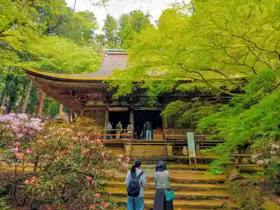 室生寺の本殿・本堂